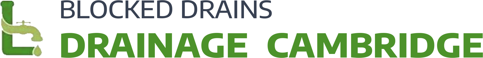 website logo